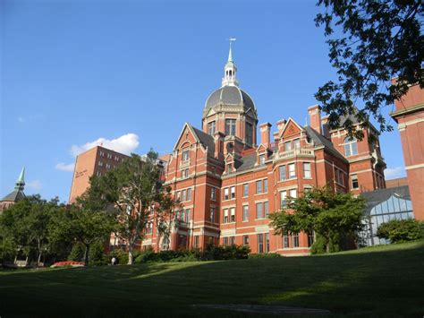 School of Medicine .